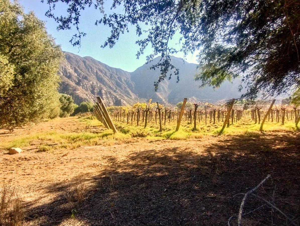 Finca Los Sauces Chilecito Exterior foto